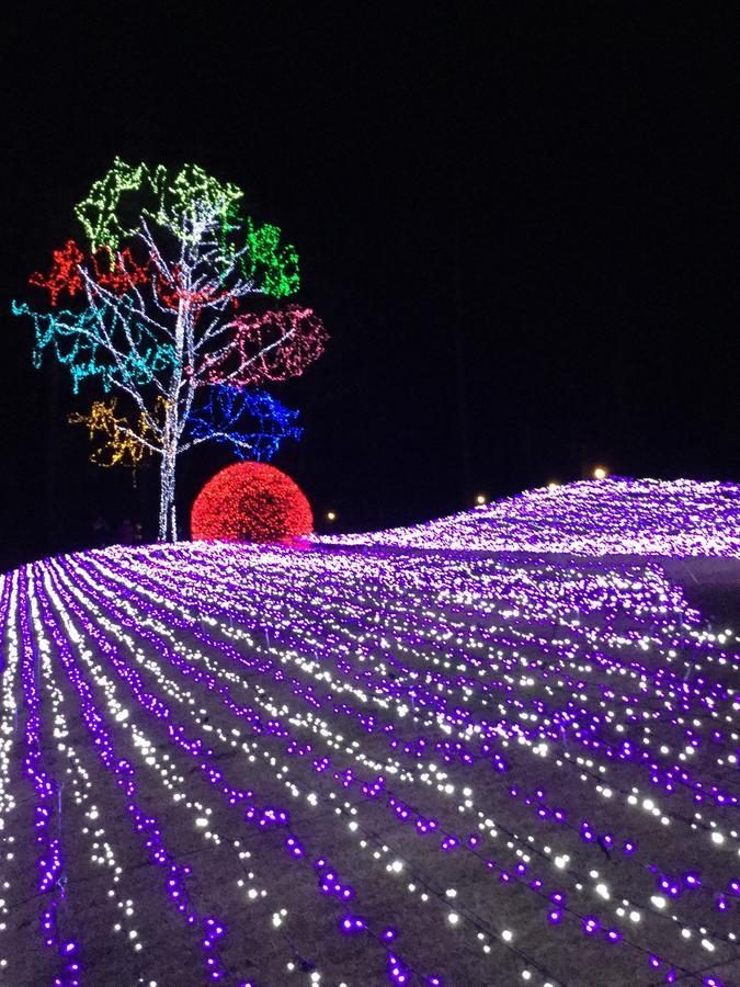 Pension Snow 白马村 外观 照片
