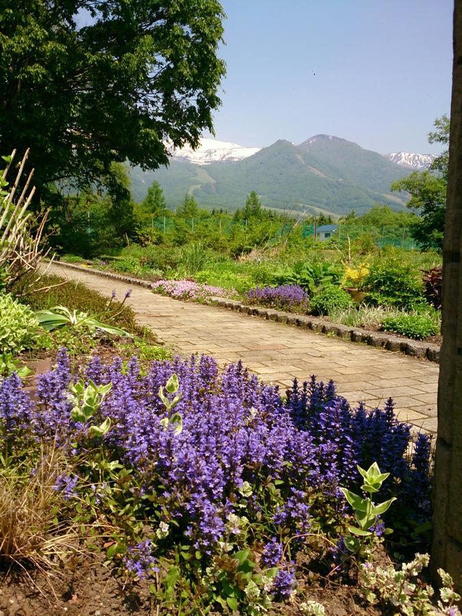 Pension Snow 白马村 外观 照片